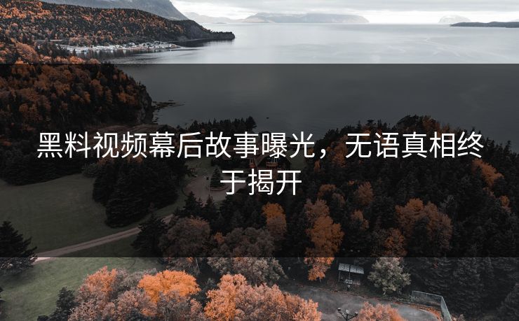 黑料视频幕后故事曝光，无语真相终于揭开