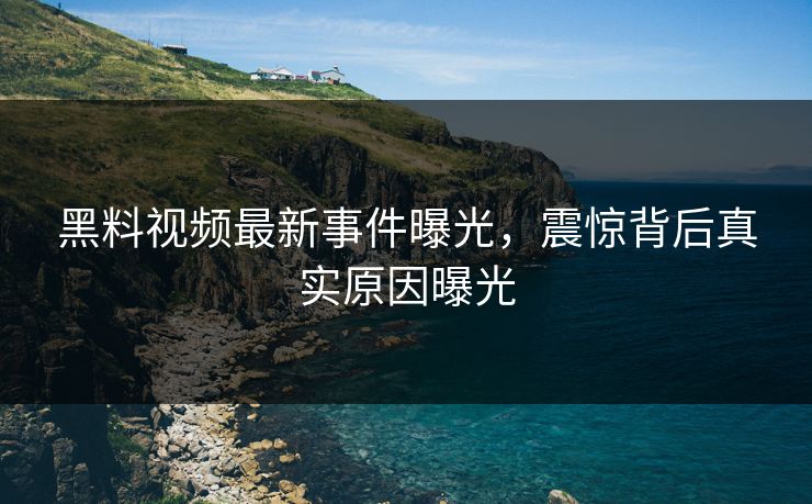 黑料视频最新事件曝光，震惊背后真实原因曝光  第1张