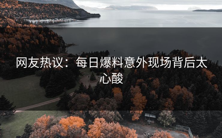 网友热议：每日爆料意外现场背后太心酸