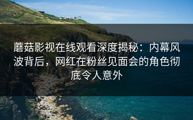 蘑菇影视在线观看深度揭秘：内幕风波背后，网红在粉丝见面会的角色彻底令人意外  第1张