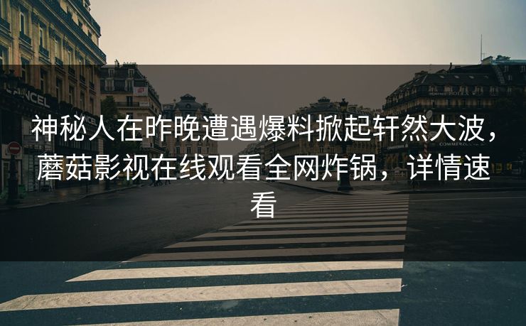 神秘人在昨晚遭遇爆料掀起轩然大波，蘑菇影视在线观看全网炸锅，详情速看
