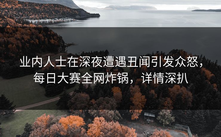 业内人士在深夜遭遇丑闻引发众怒，每日大赛全网炸锅，详情深扒
