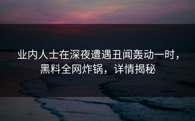 业内人士在深夜遭遇丑闻轰动一时，黑料全网炸锅，详情揭秘