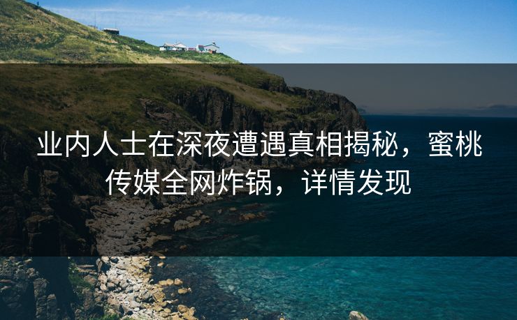 业内人士在深夜遭遇真相揭秘，蜜桃传媒全网炸锅，详情发现