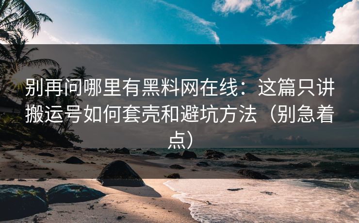 别再问哪里有黑料网在线：这篇只讲搬运号如何套壳和避坑方法（别急着点）