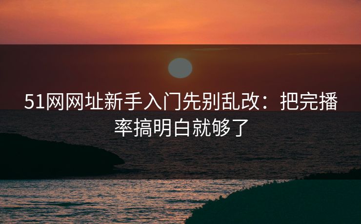 51网网址新手入门先别乱改：把完播率搞明白就够了