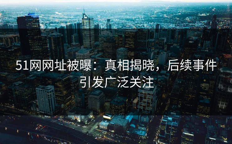 51网网址被曝：真相揭晓，后续事件引发广泛关注